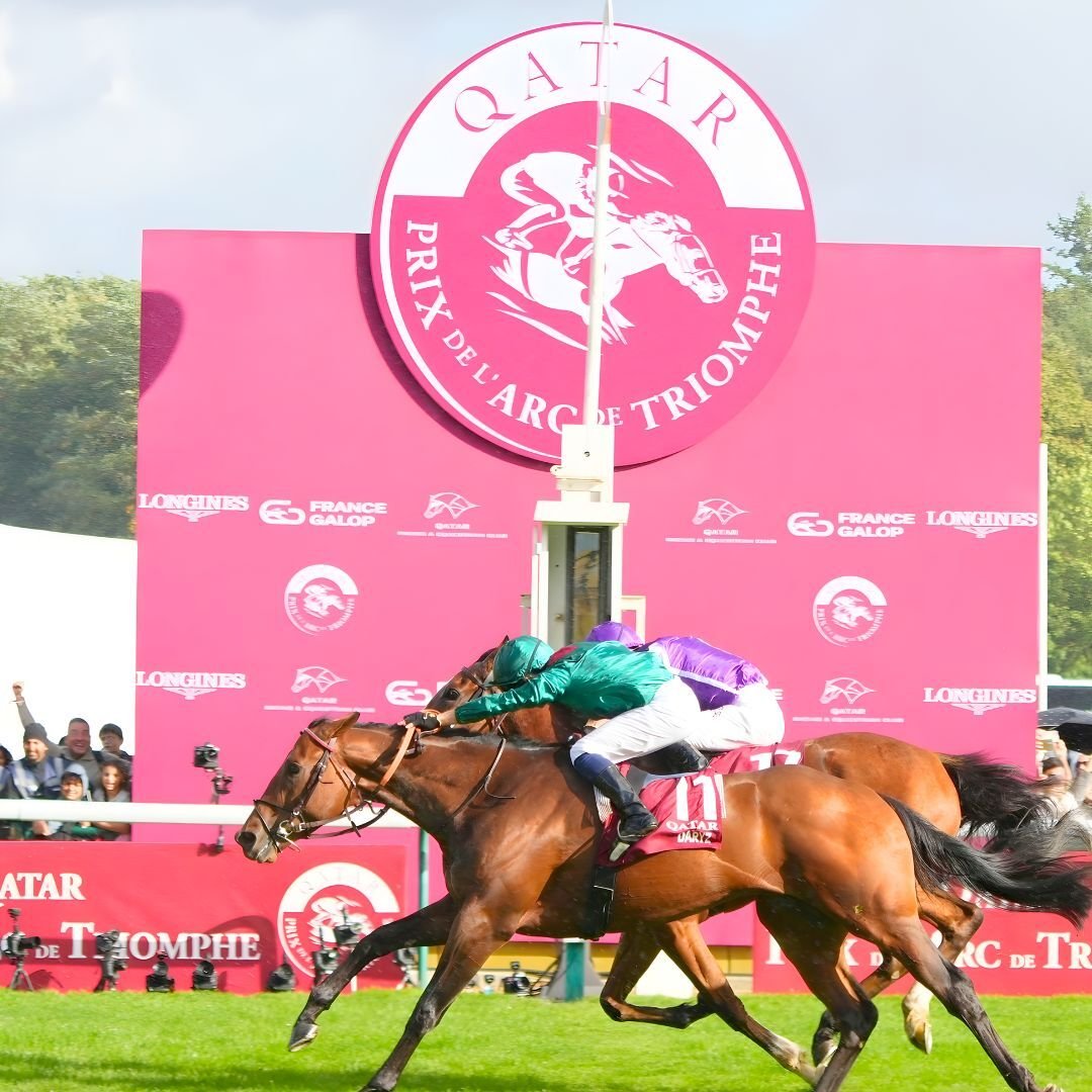 Daryz_QatarPrixdelArc