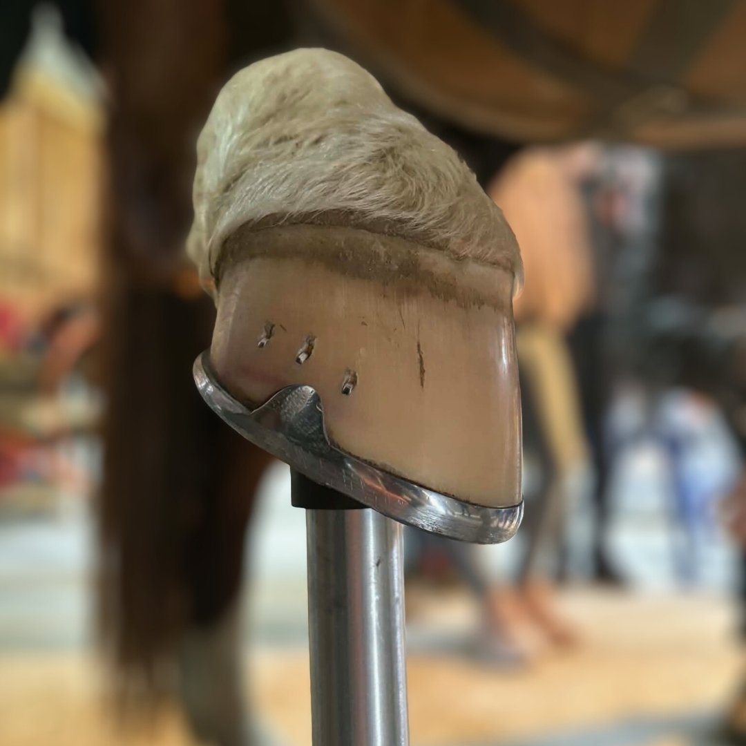 Eurofers_Evenements_Eurofers_Tours