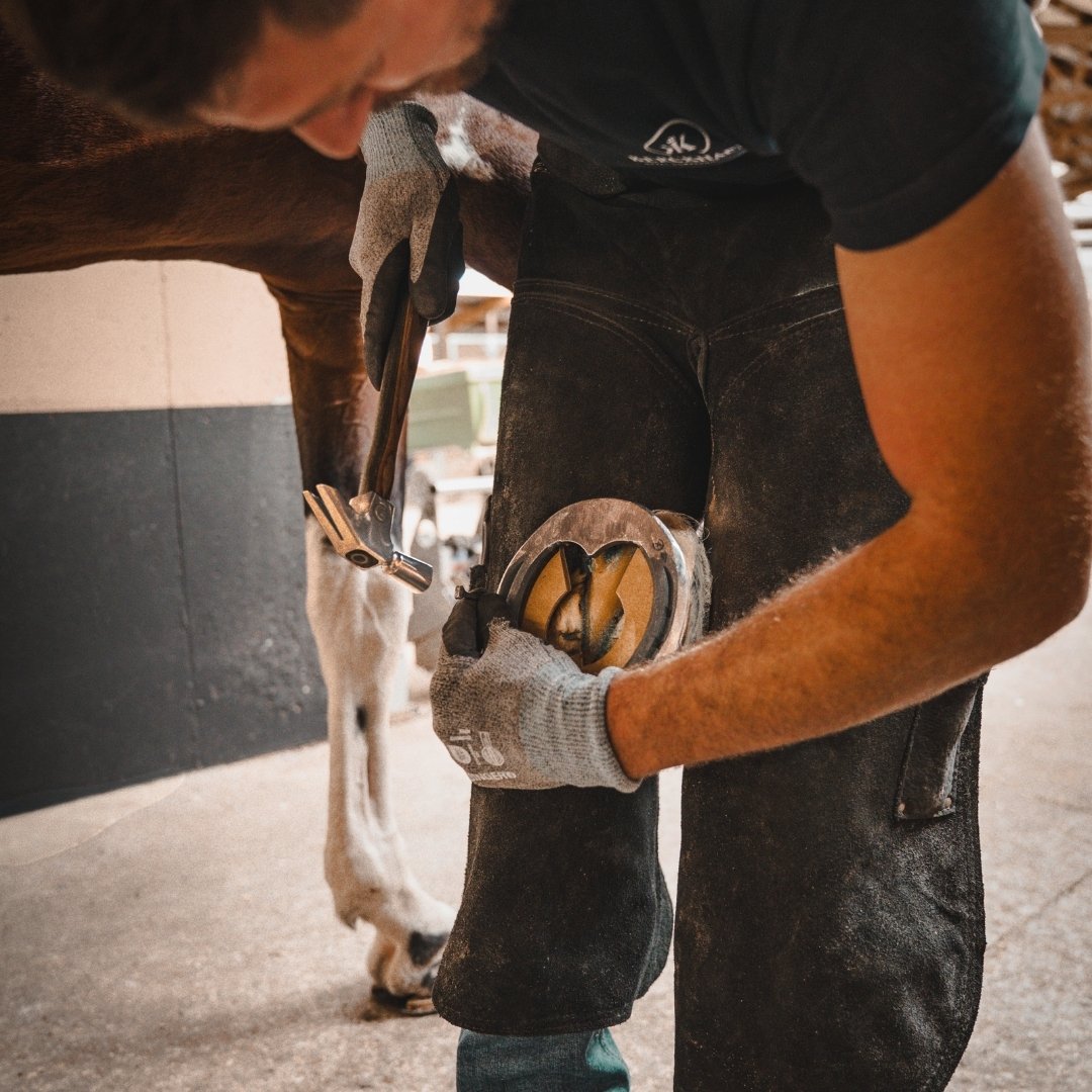 Eurofers_Maréchalerie