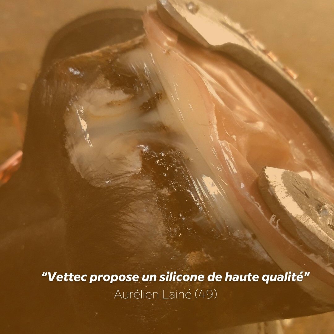 Eurofers_Vettec