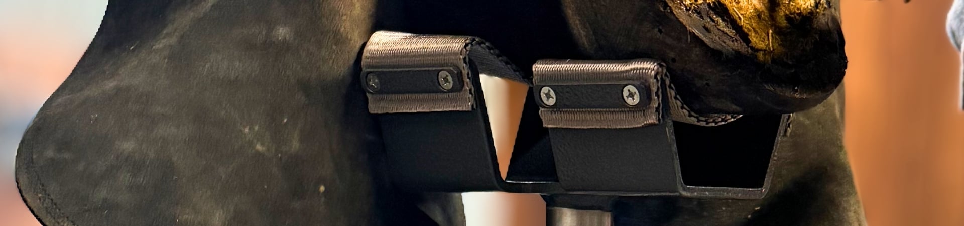 Header_Eurofers_Accessoires_Hoofjack-1