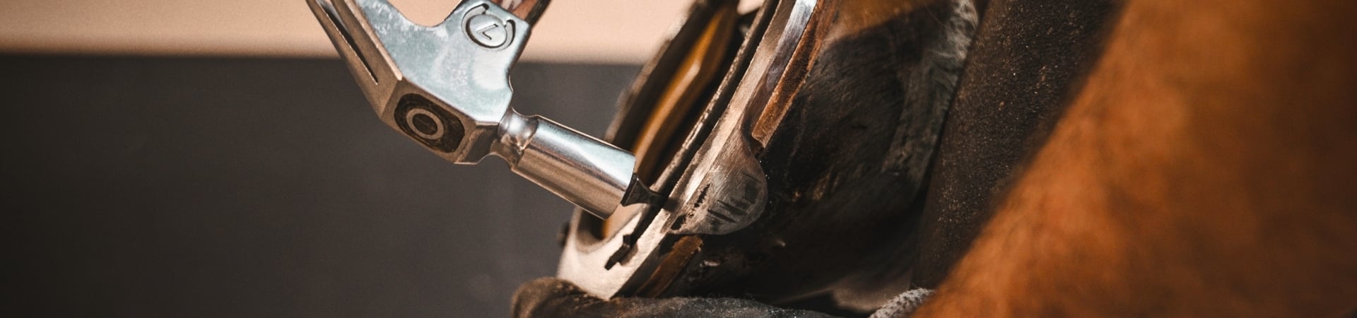 Header_Eurofers_Clous-1