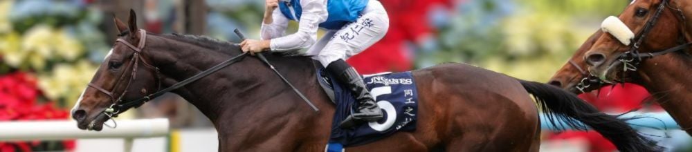 Header_murdesvainqueurs_Eurofers