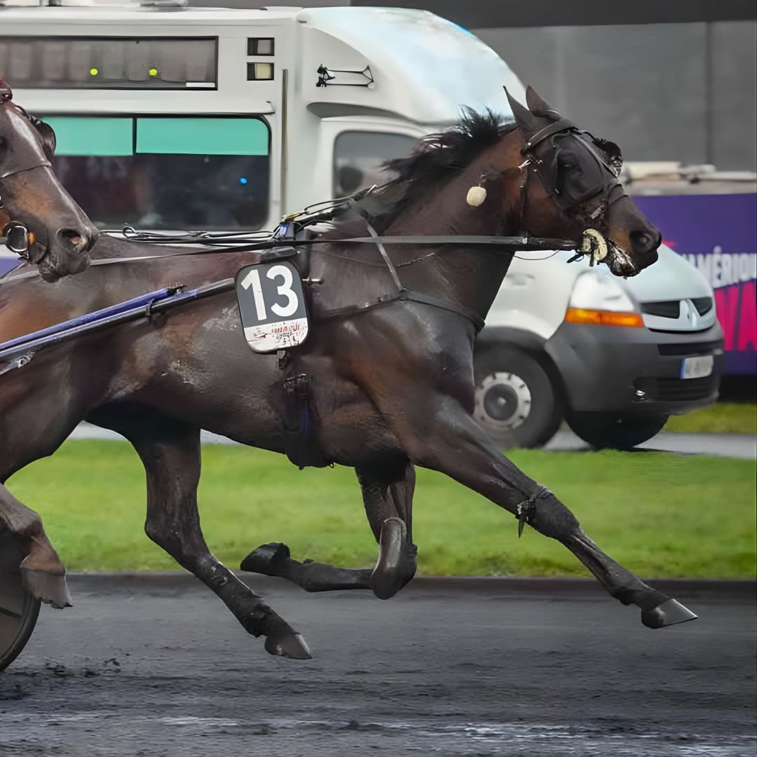 HokkaidoJiel_PrixdAmerique2026-1