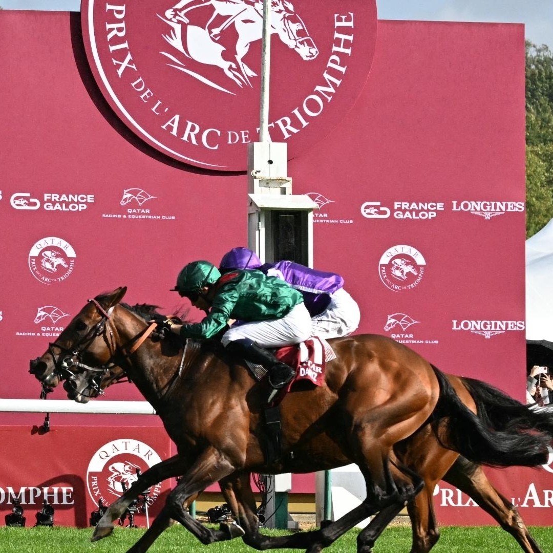 Qatar_Prix_Daryz