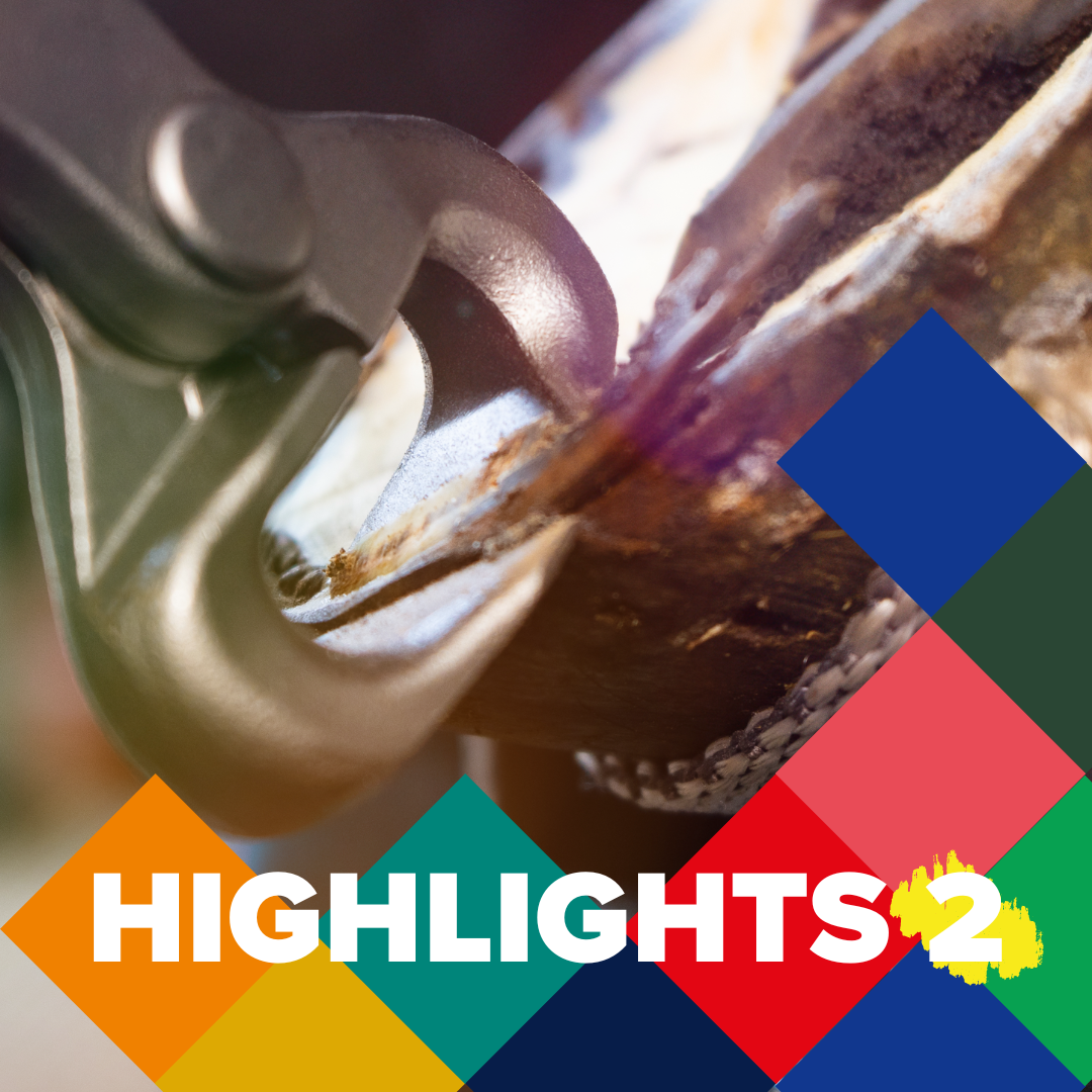 Highlights 2
