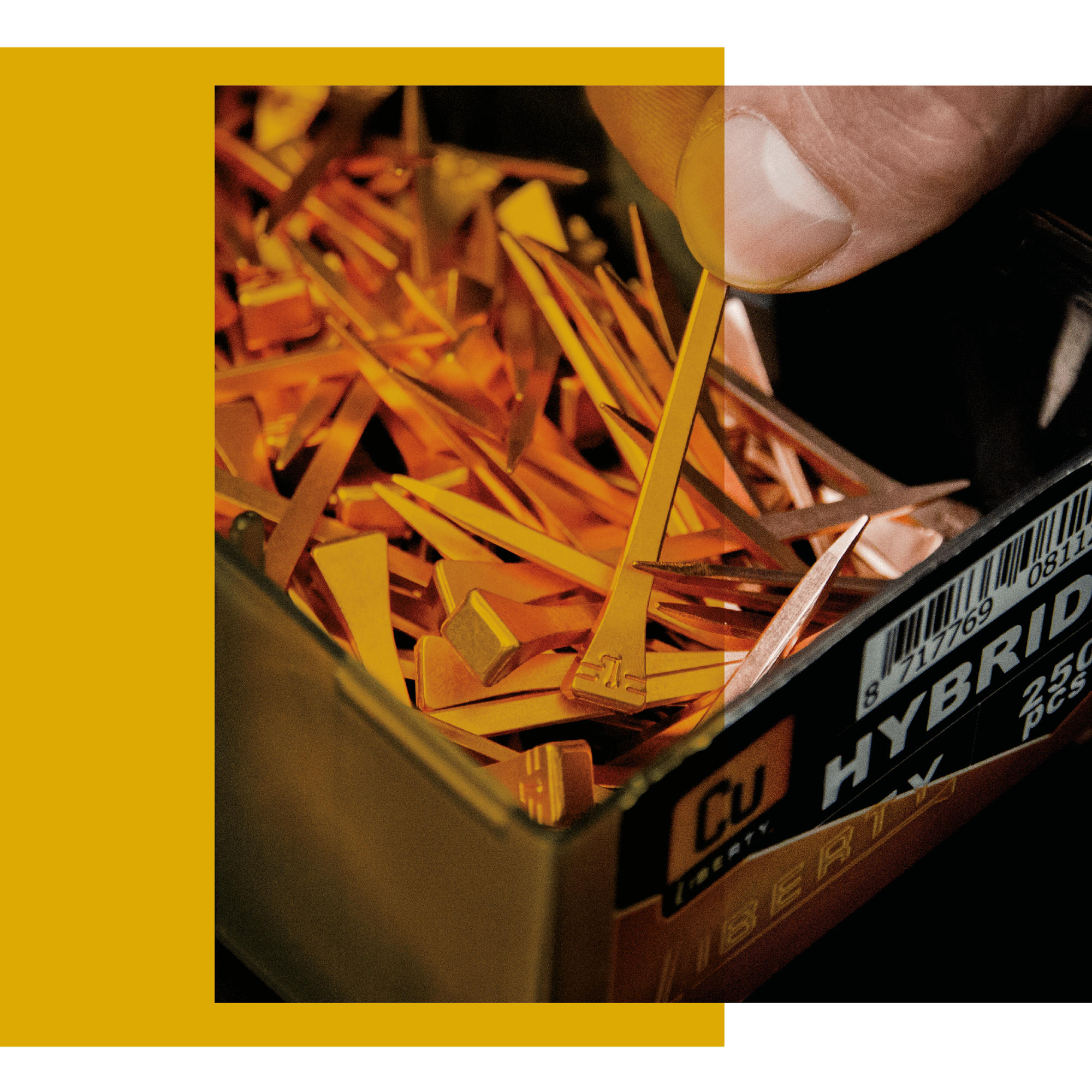 Image-Hybrid-1200x1200px