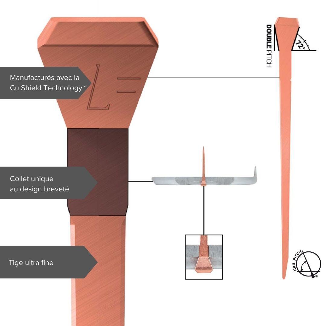 caractéristiques Carrera