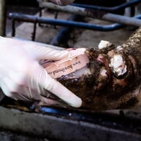 Step8 - application-1