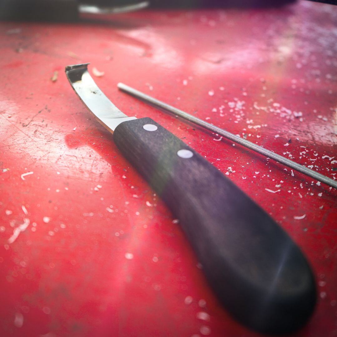 Diamond Hoof knife classic