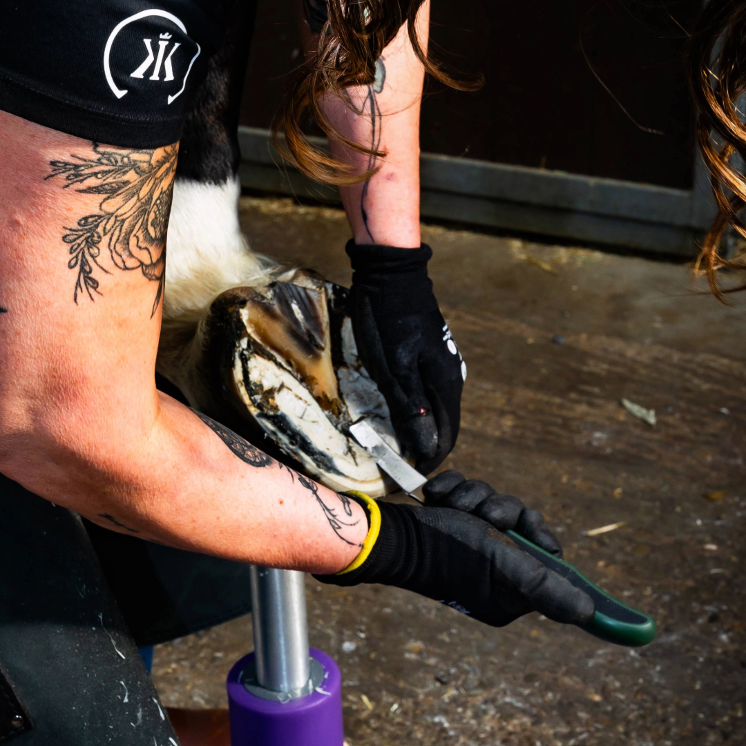 plastick hoof knive Diamond