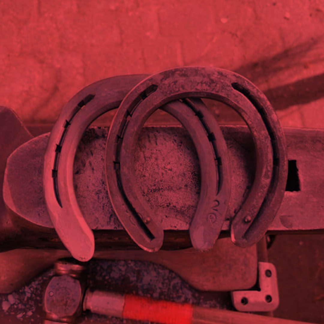 testimonial Philipp Trottner