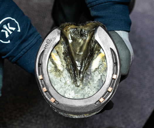 ProductMoodKerckhaert_DFQuarterMotionPlus-NL1