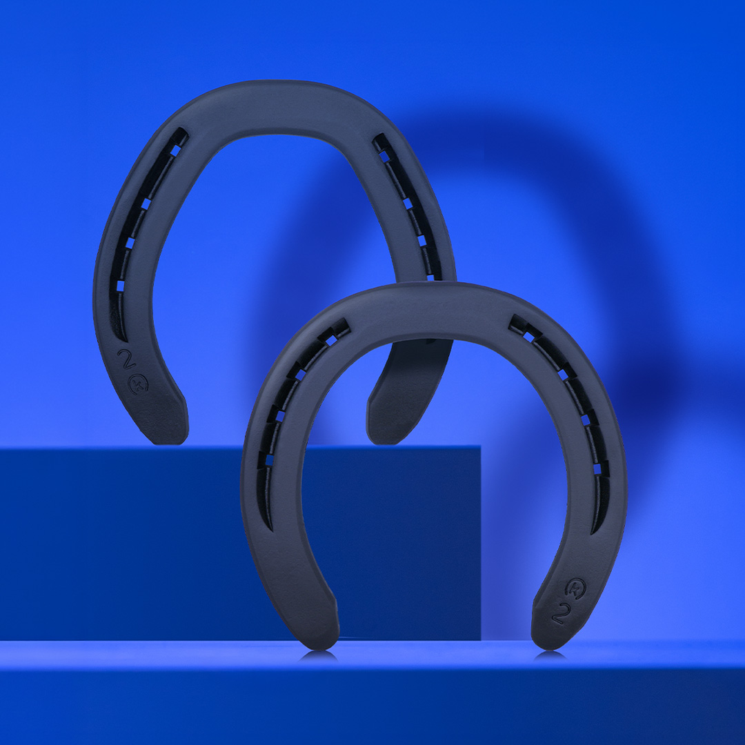 W35_DF horseshoe
