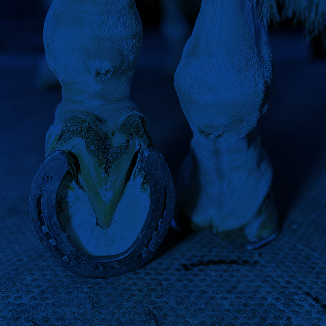 testimonial Stijn Reyskens