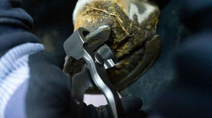 Diamond SP12 - Shoe Puller