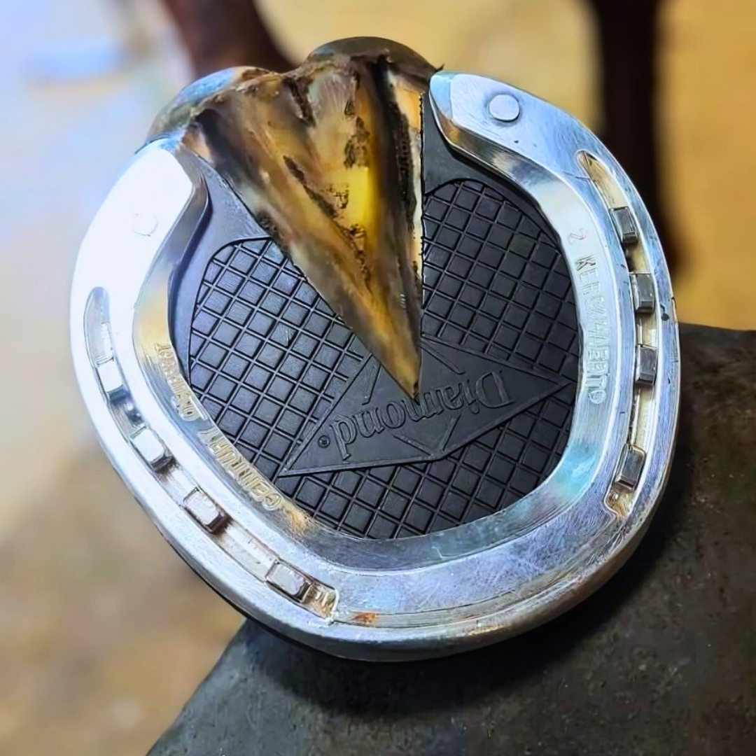 Ferrure alu Century Support Ferrure alu Century Support