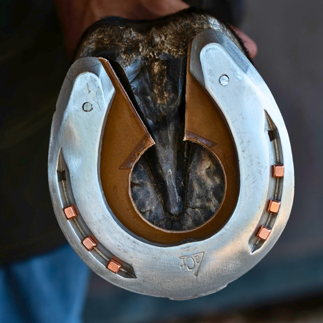 Ferrure orthopédique pour une arthropathie interphalangienne