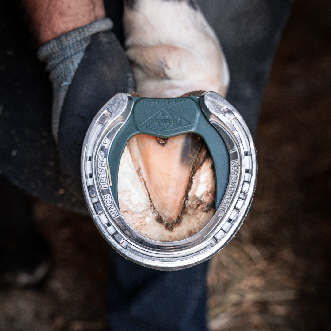 Ferrure orthopédique