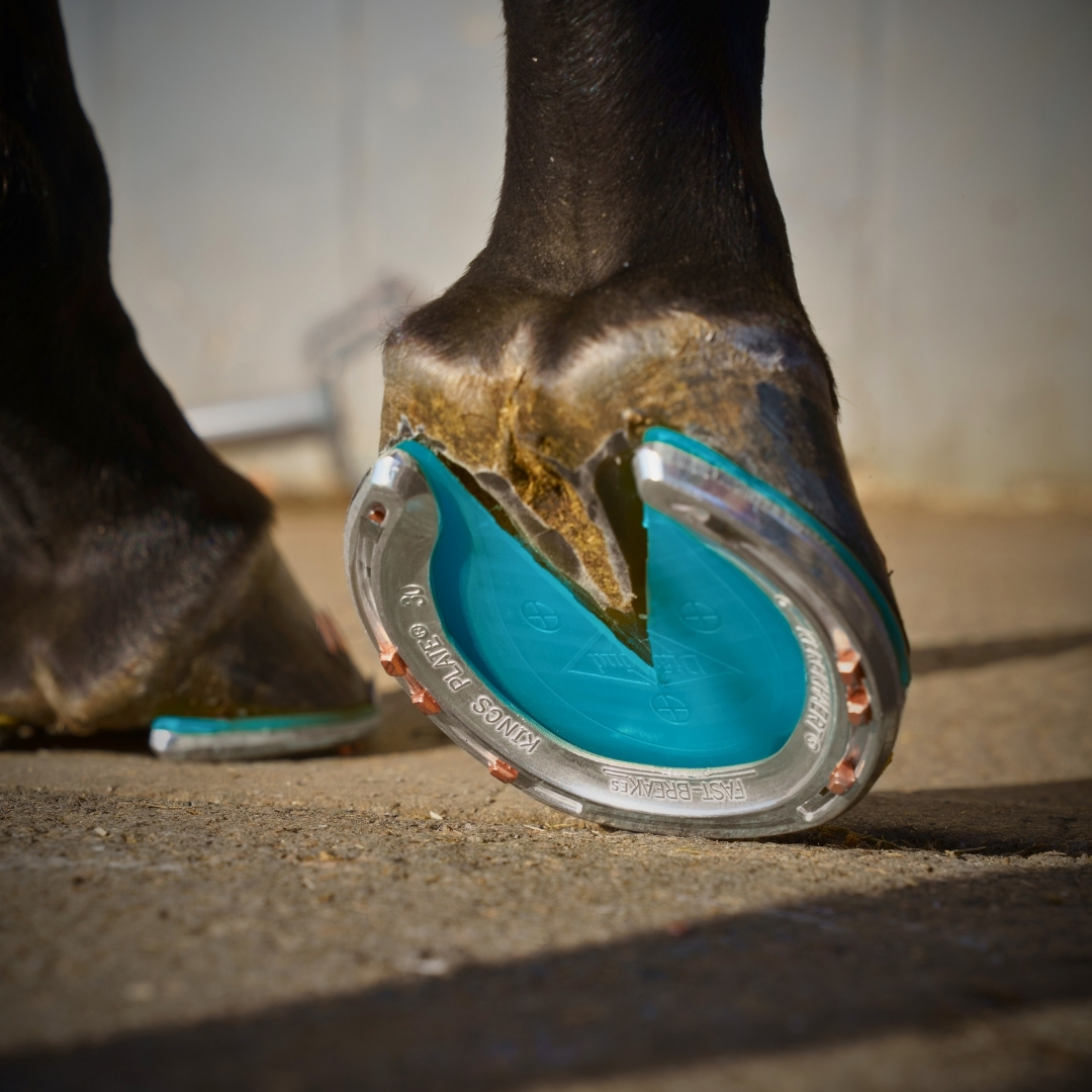 Ferrure galopeur fer alu Fast Break Ferrure galopeur fer alu Fast Break