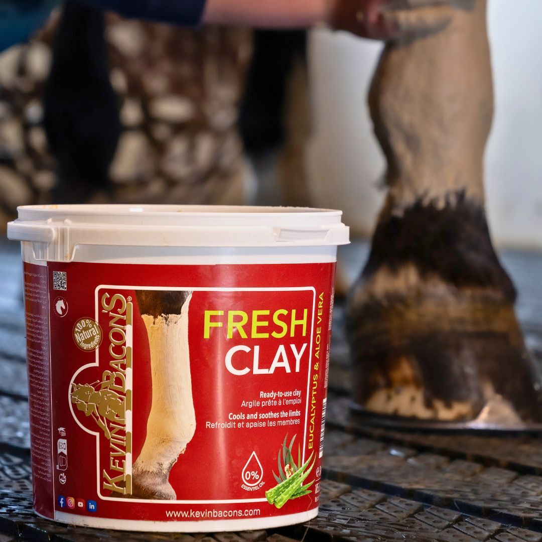 Kevin_Bacons_Fresh_Clay Kevin_Bacons_Fresh_Clay