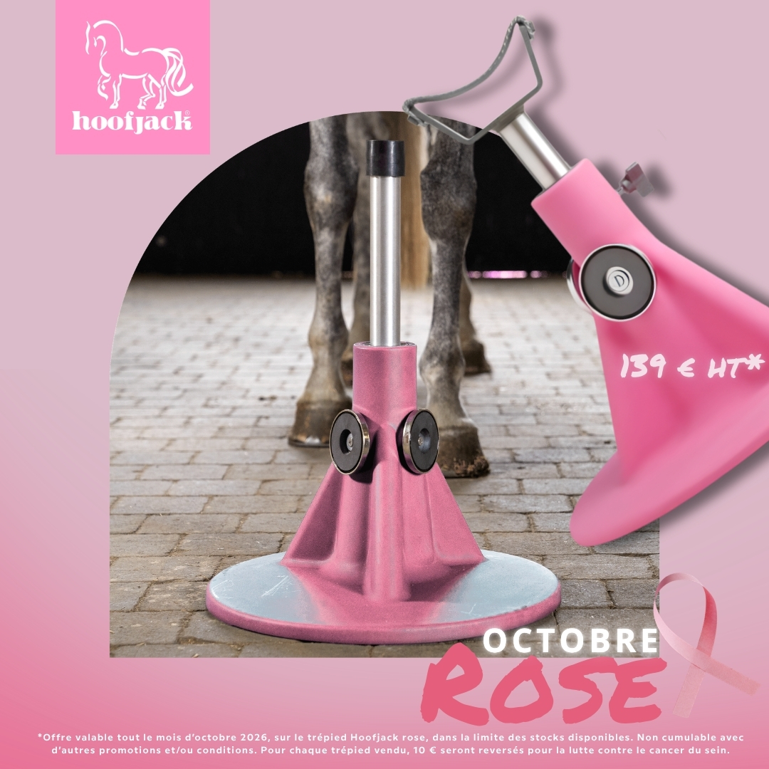 Octobre_Rose