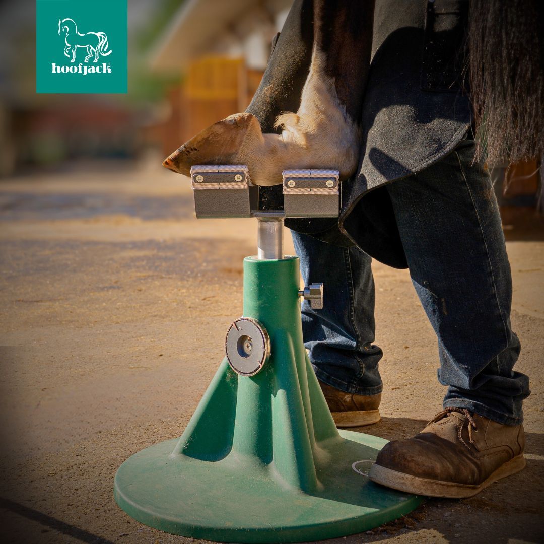 repose paturon Hoofjack (Publication Instagram)