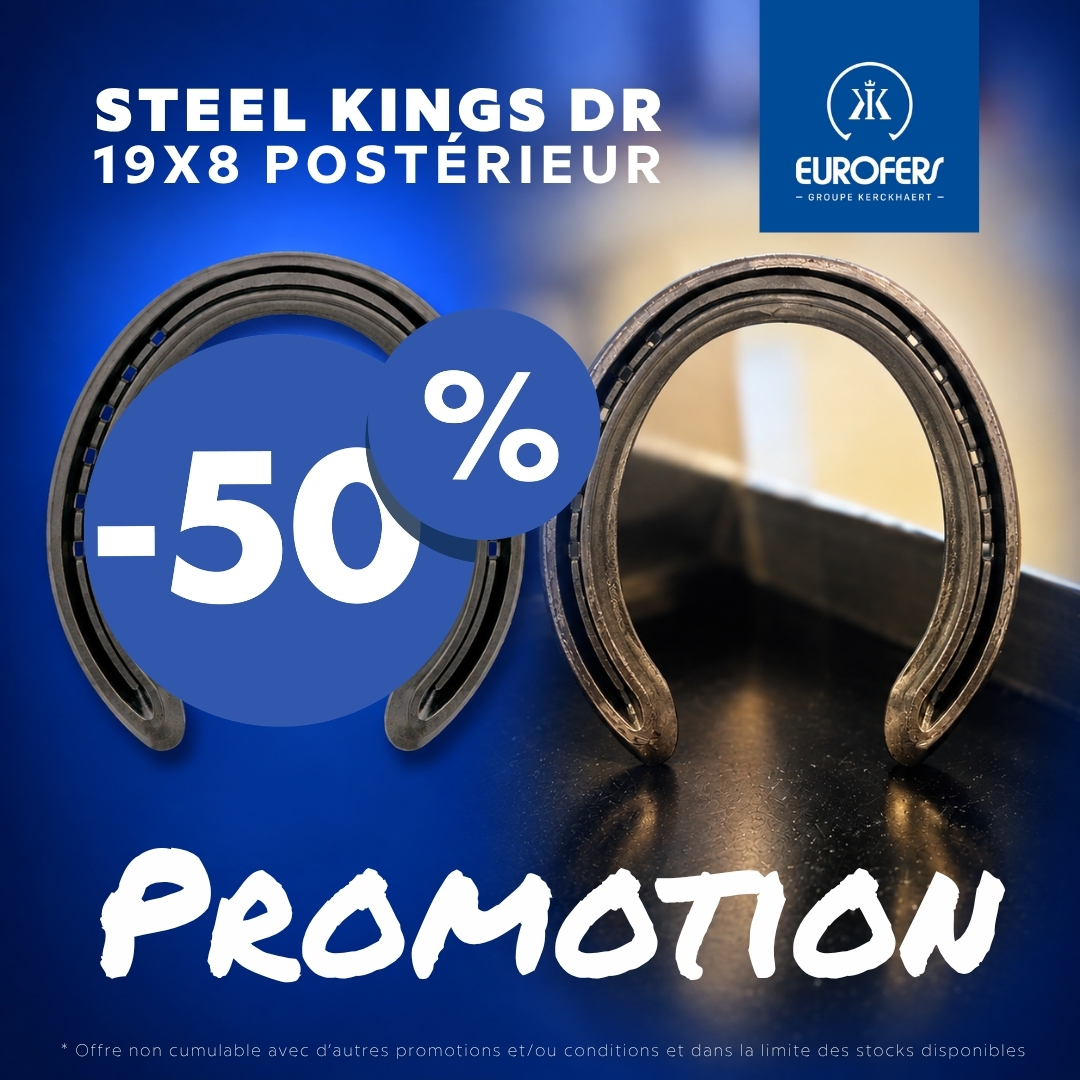steel kings dr 19x8 postérieur