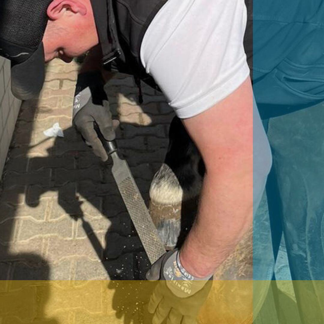 Maréchal Sascha Bechthold