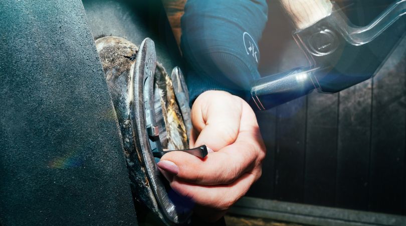 Suus - Libert E Slim