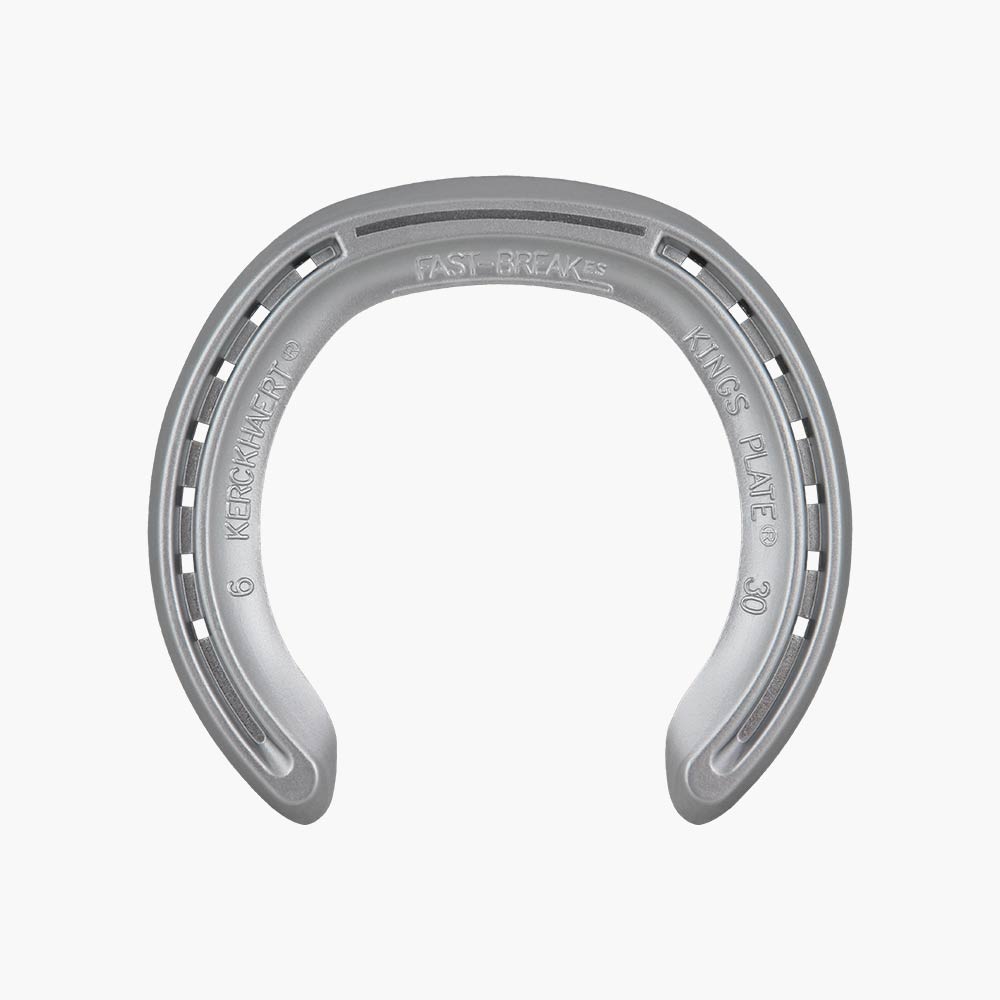 Alu Kings Fast Break ES