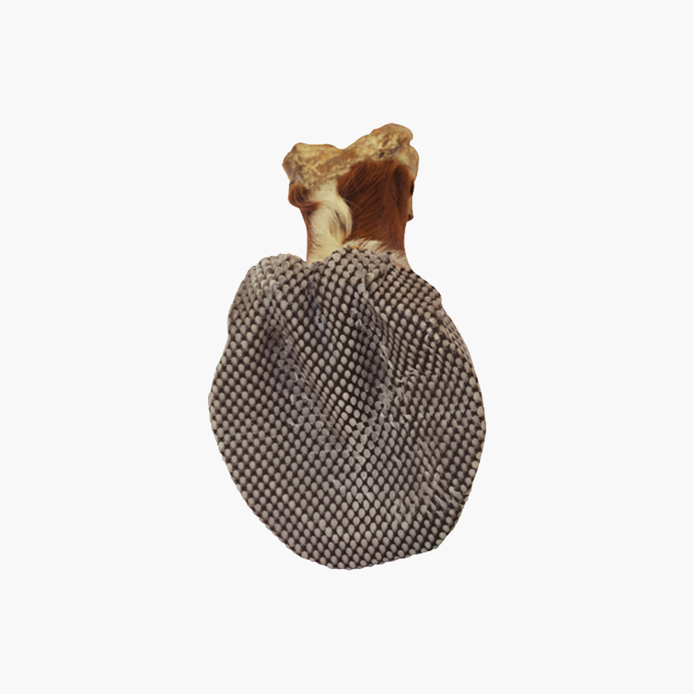 Plaque thermoformable