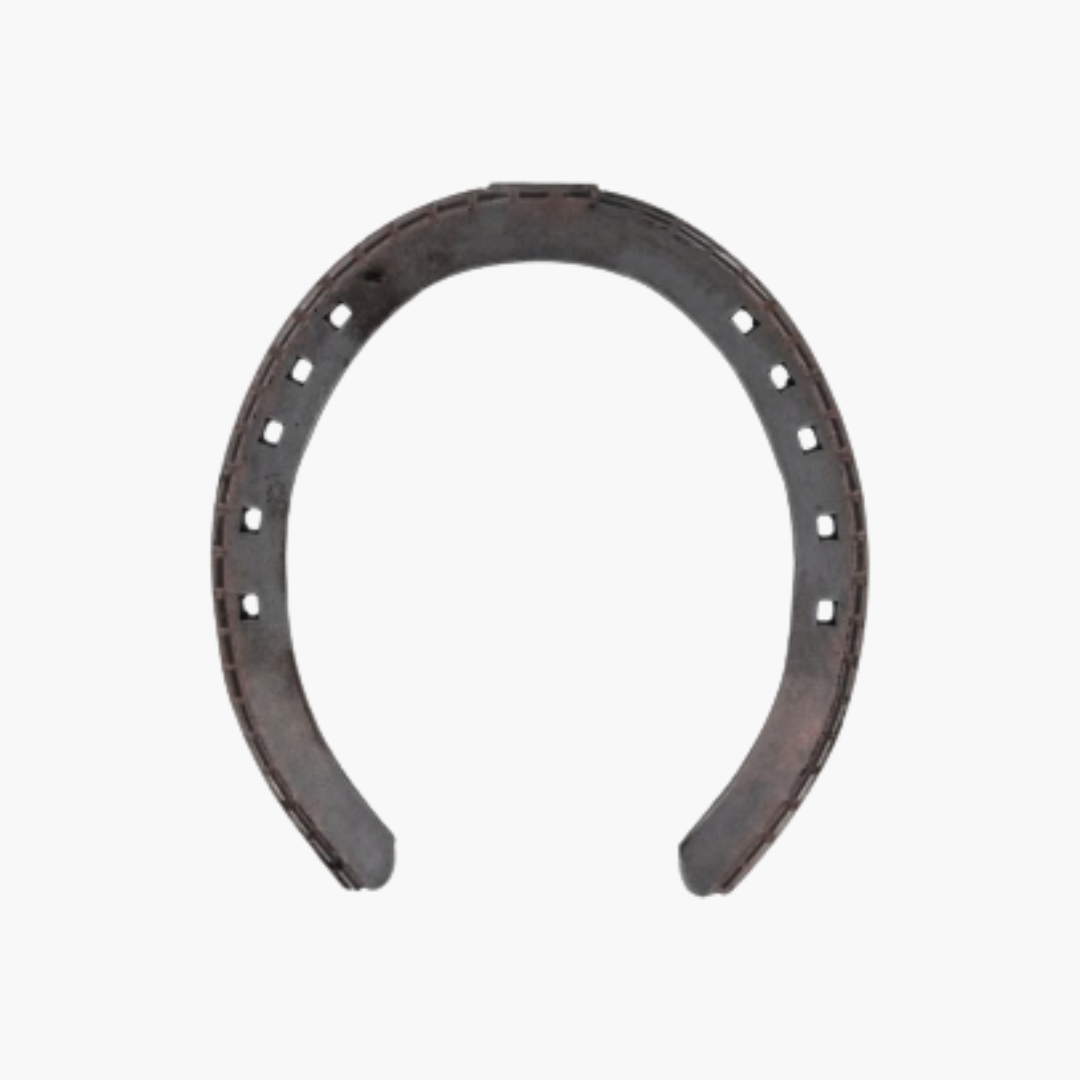 Fer Tuna plat rainé - trotteurs