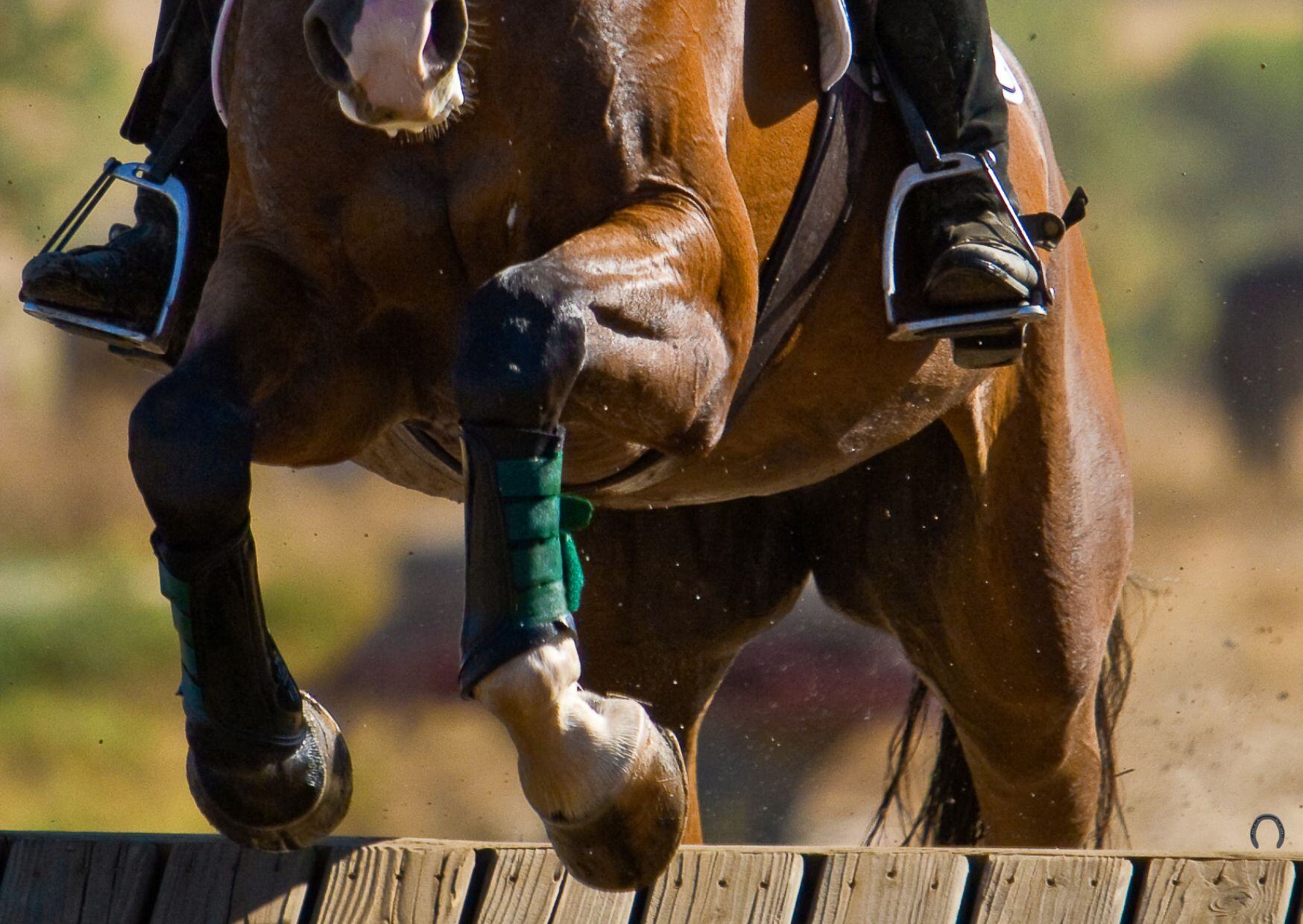 triumph - eventing